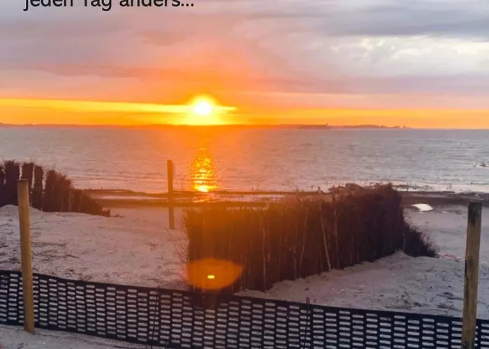 Silbermoewe Wendtorf