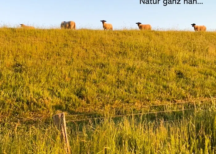 Silbermoewe Apartamento *